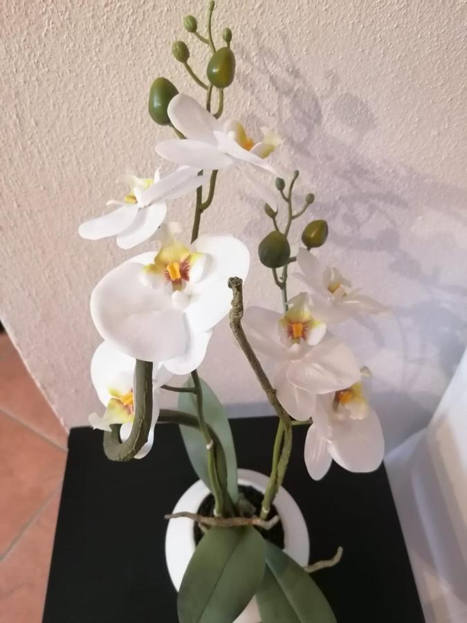 Apartment Perla Del Golfo